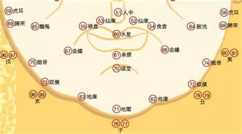 面相 年紀|從青年到老年，面相可以看你一生的運勢